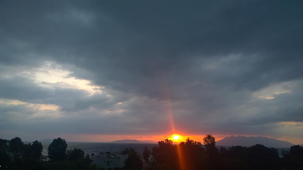 Aristotelis